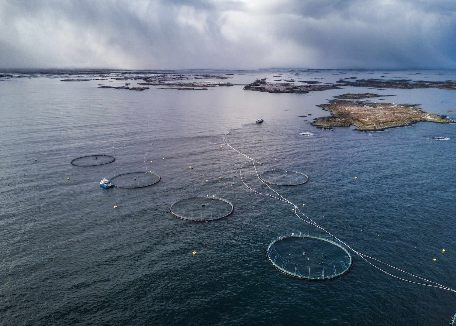 Birds' eye view of a Norwegian aquaculture farm
