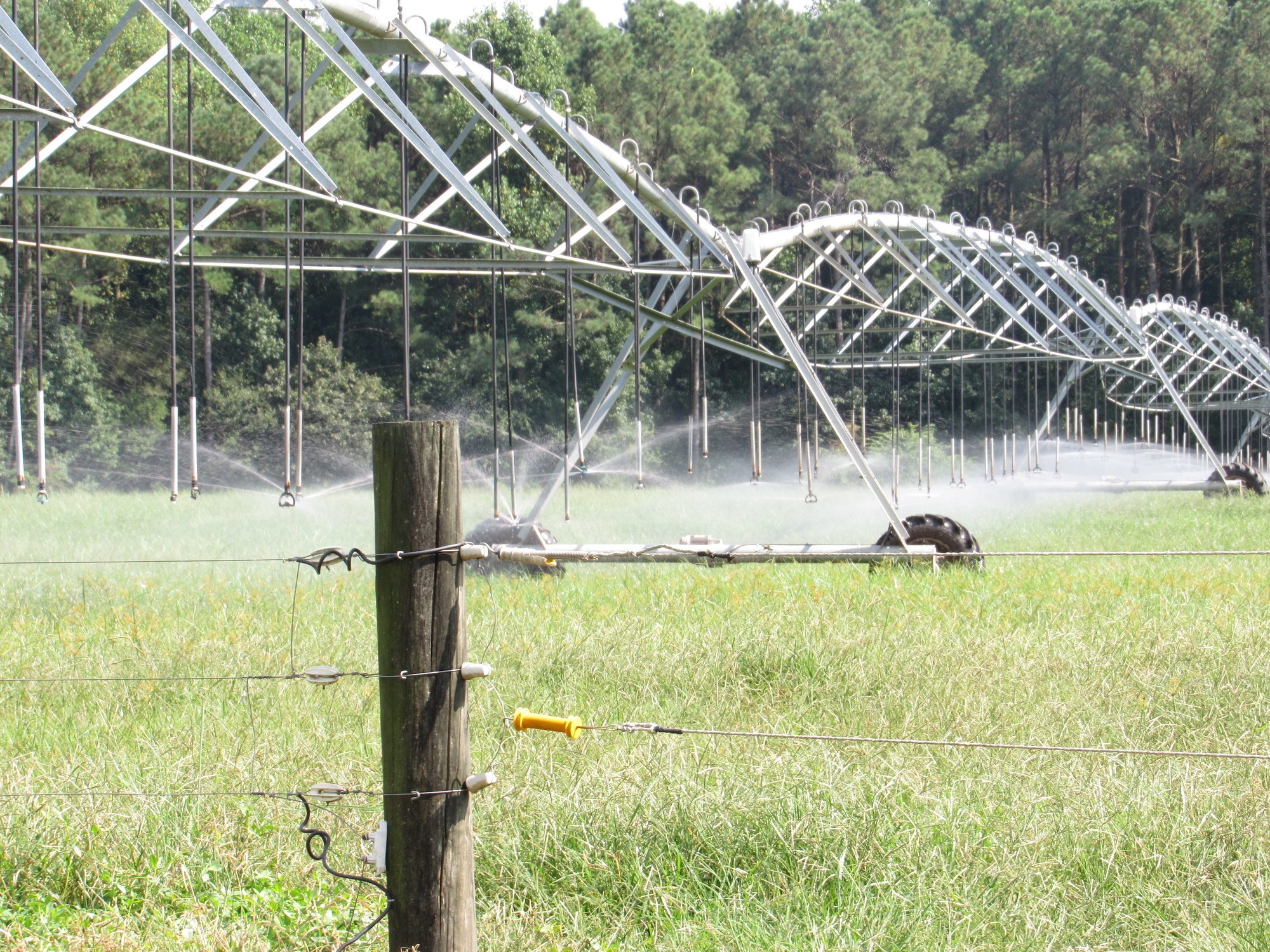CAFO waste water being sprayed on a nearby field. April 2022