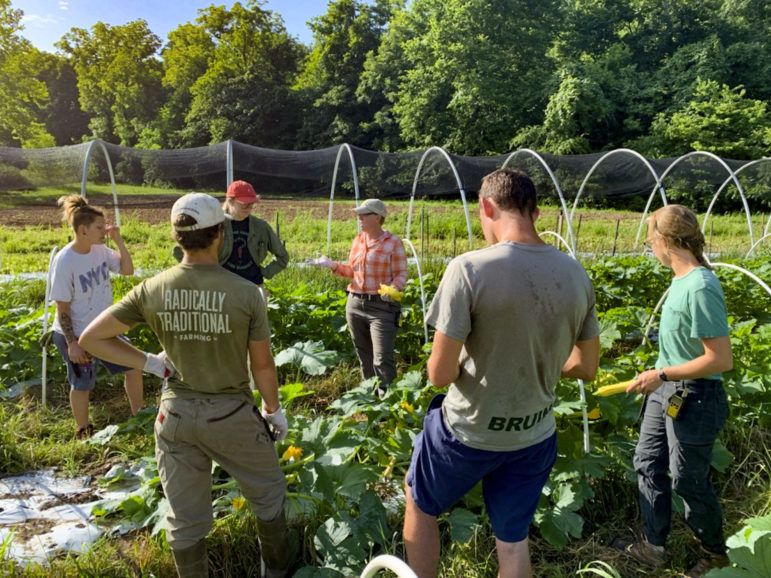 Happy Hollow Farm had a difficult time selling their food to restaurants and a local grocery store during the pandemic, but saw a huge demand in selling online and through their CSA. October 2021