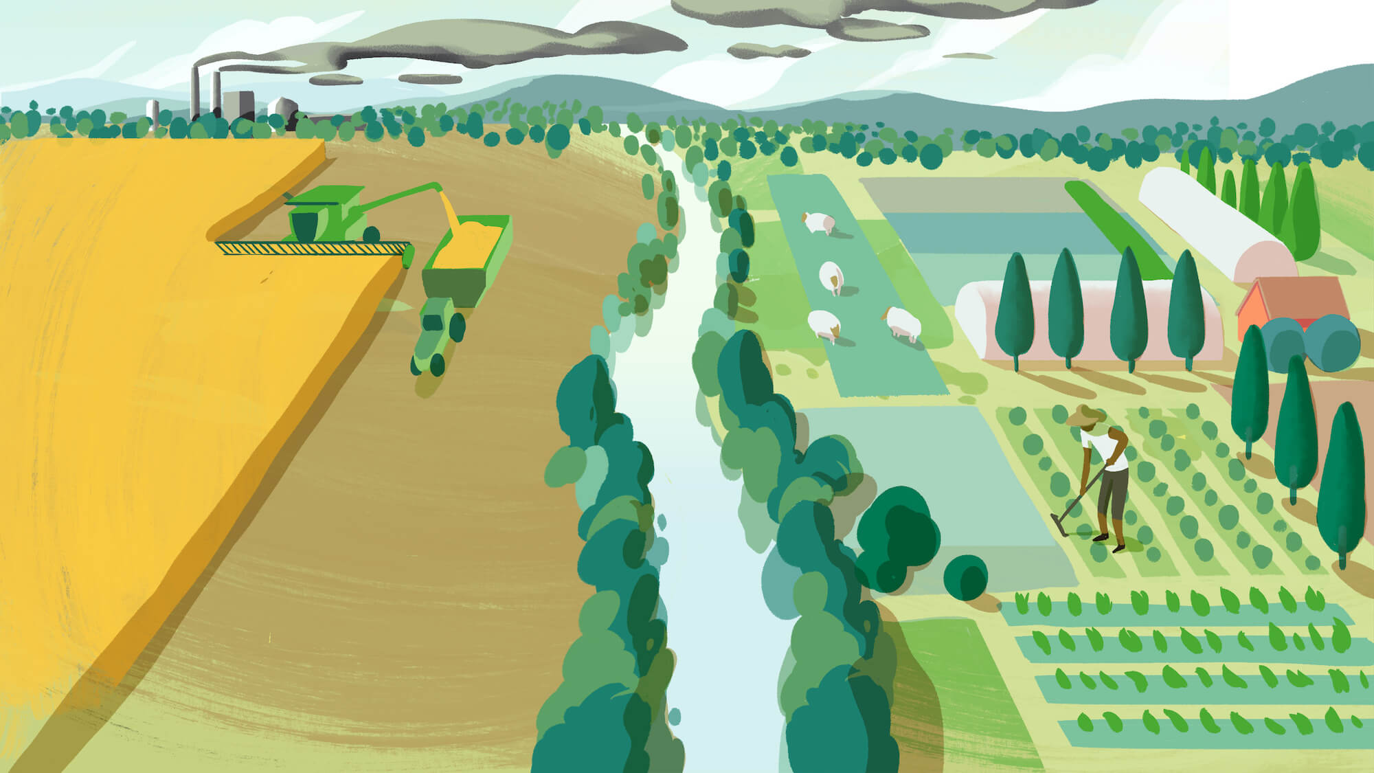 Illustration of a conventional grain farm across from a farm using the principles of regenerative agriculture (May 2021)