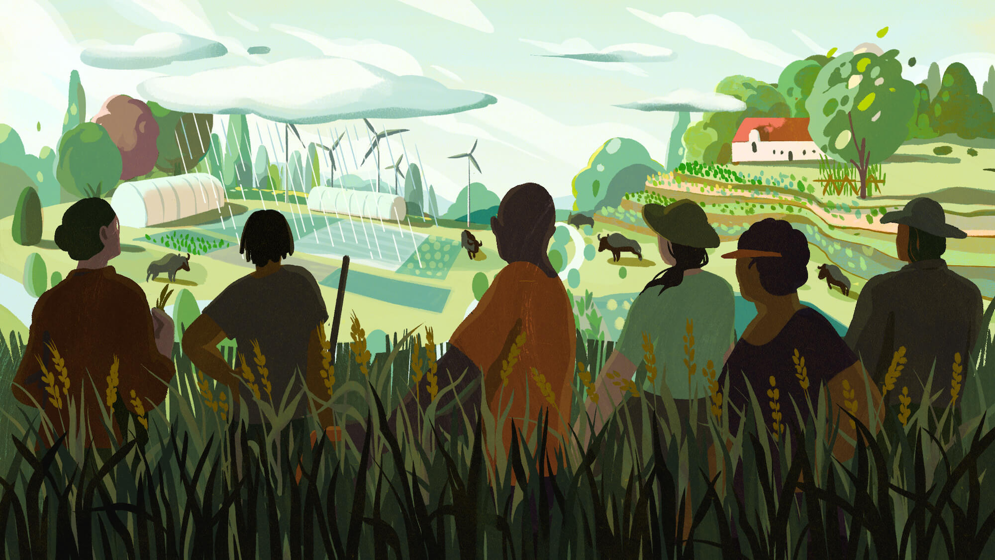 Illustration: Regenerative agriculture needs to reckon with racial justice, land access, equity and other issues before it can fight climate change