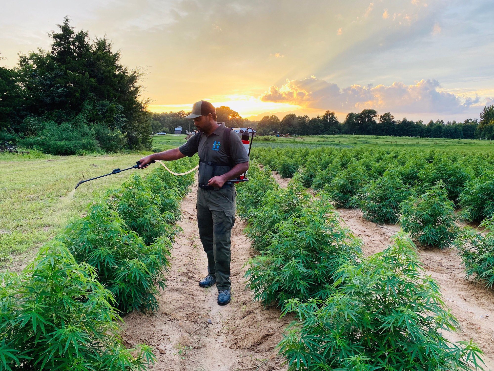 Patrick Brown at Brown Family Farms in North Carolina spraying pesticides on hemp plants. September 2021