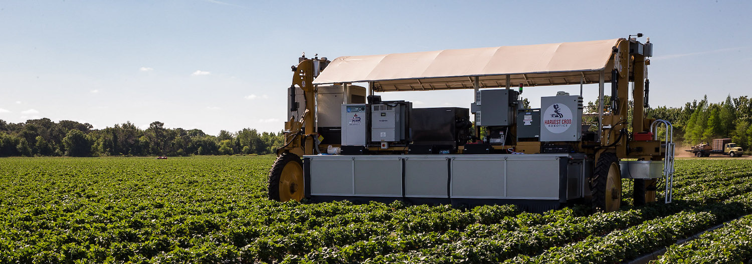 Meet the AI-enabled strawberry picker that could replace thousands of farmworkers. Credit: Harvest CROO, January 2019